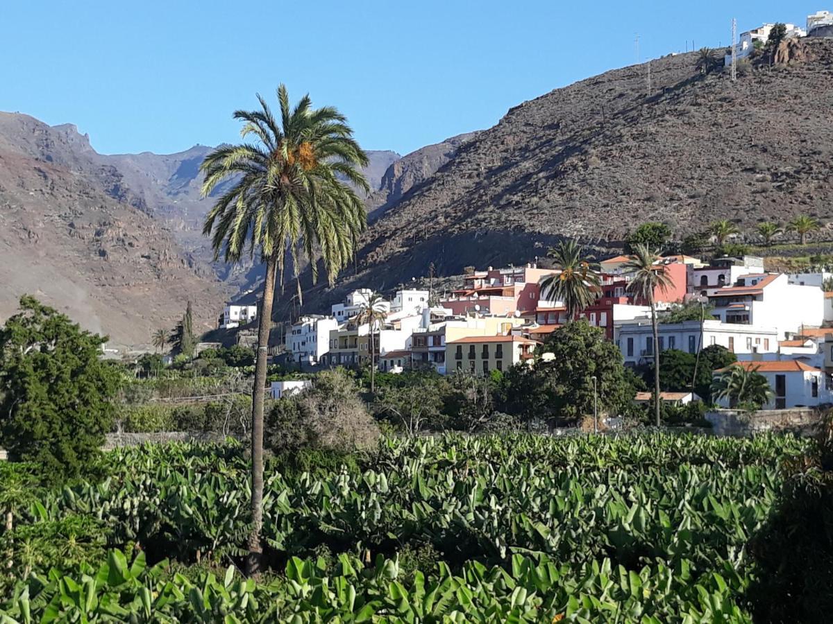 Los Olivos Playa de Santiago  Kültér fotó