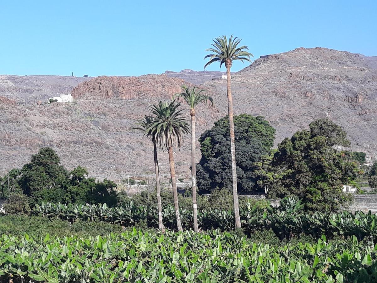 Los Olivos Playa de Santiago  Kültér fotó